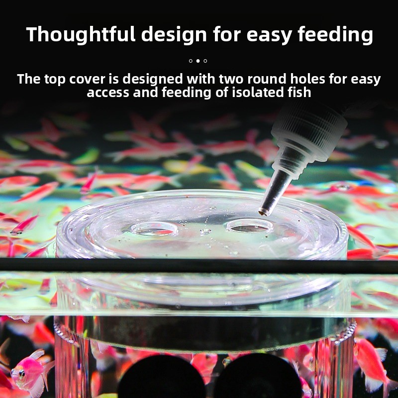 Acrylic Breeding Box Aquarium  - Aquarium Fish Parrot recension och pris