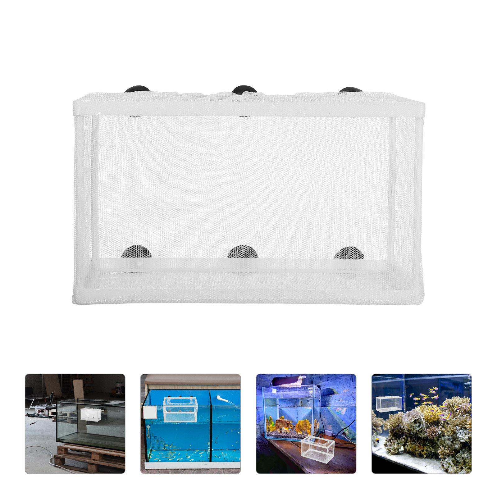 Fish Net Aquarium Hatchery Inc - Aquarium Fish Big Size recension och pris