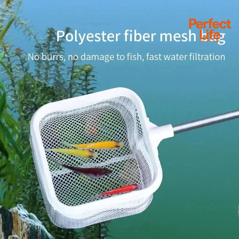 1、2Pcs Stainless Steel Fishing - Aquarium Fishland recension och pris