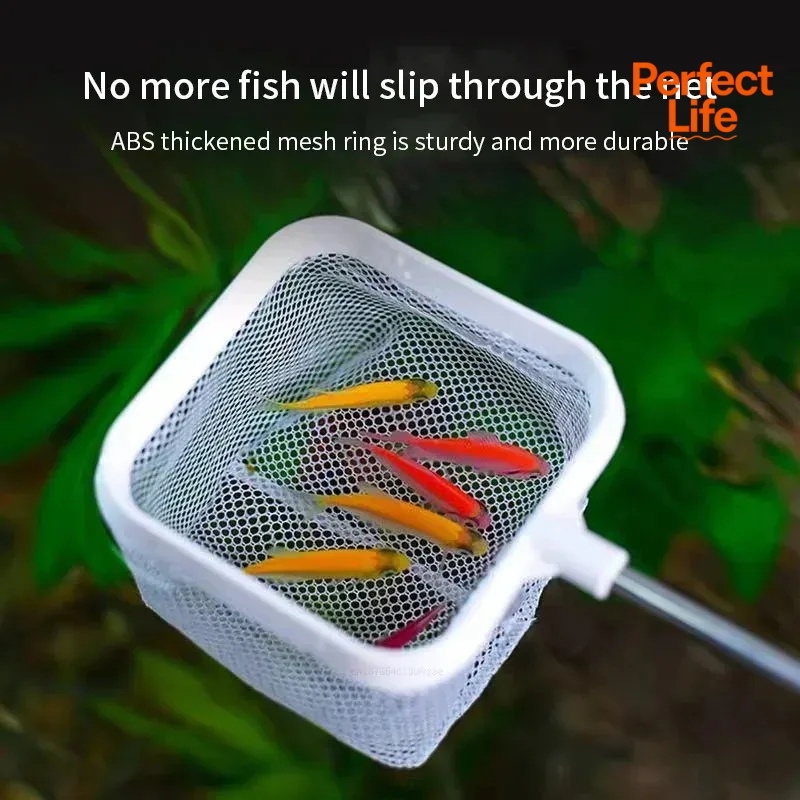 1、2Pcs Stainless Steel Fishing - Aquarium Fishland recension och pris