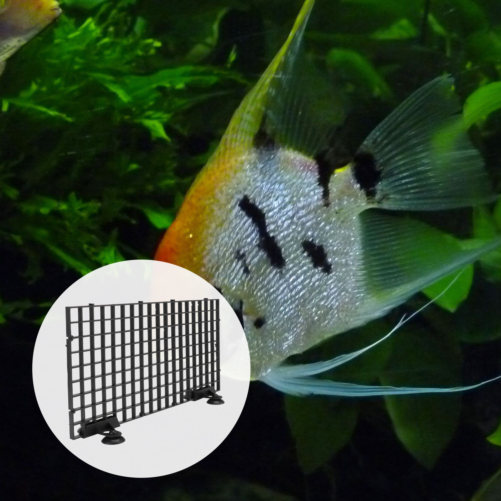Fish Breeder Net Big Size Blac - Aquarium Fish Big Size recension och pris