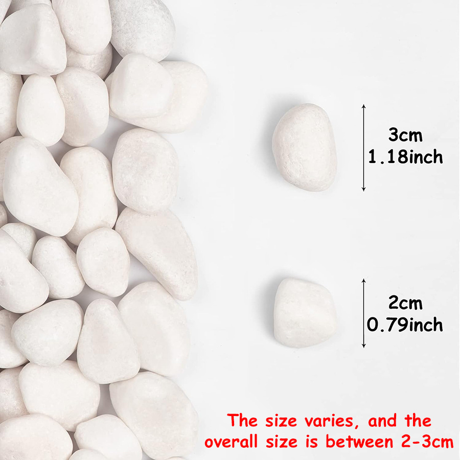 200/400g White High Polished N - Aquarium Fish Bowl recension och pris