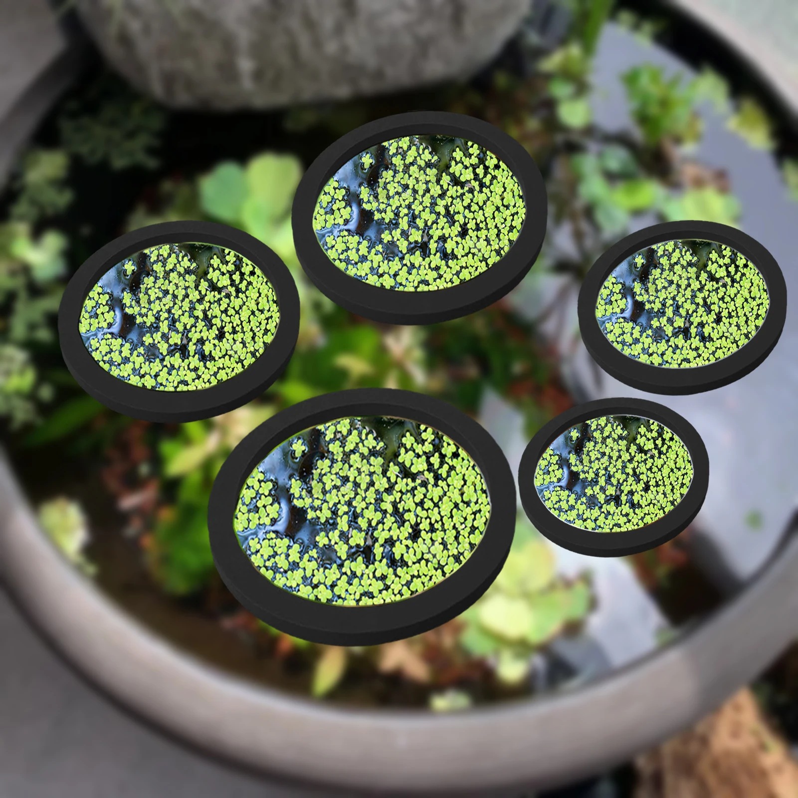 5Pcs EVA Fish Feeding Ring Aqu - Aquarium Fish Bowl recension och pris