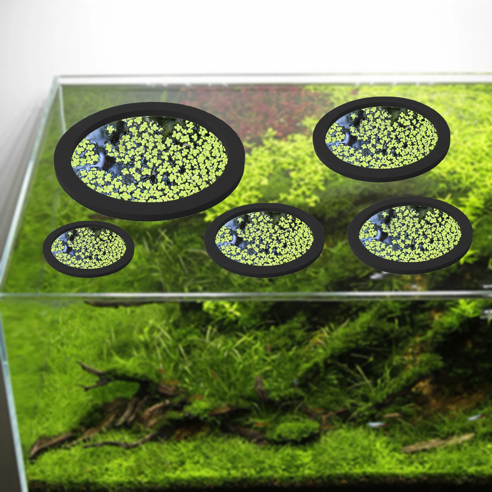 5Pcs EVA Fish Feeding Ring Aqu - Aquarium Fish Bowl recension och pris