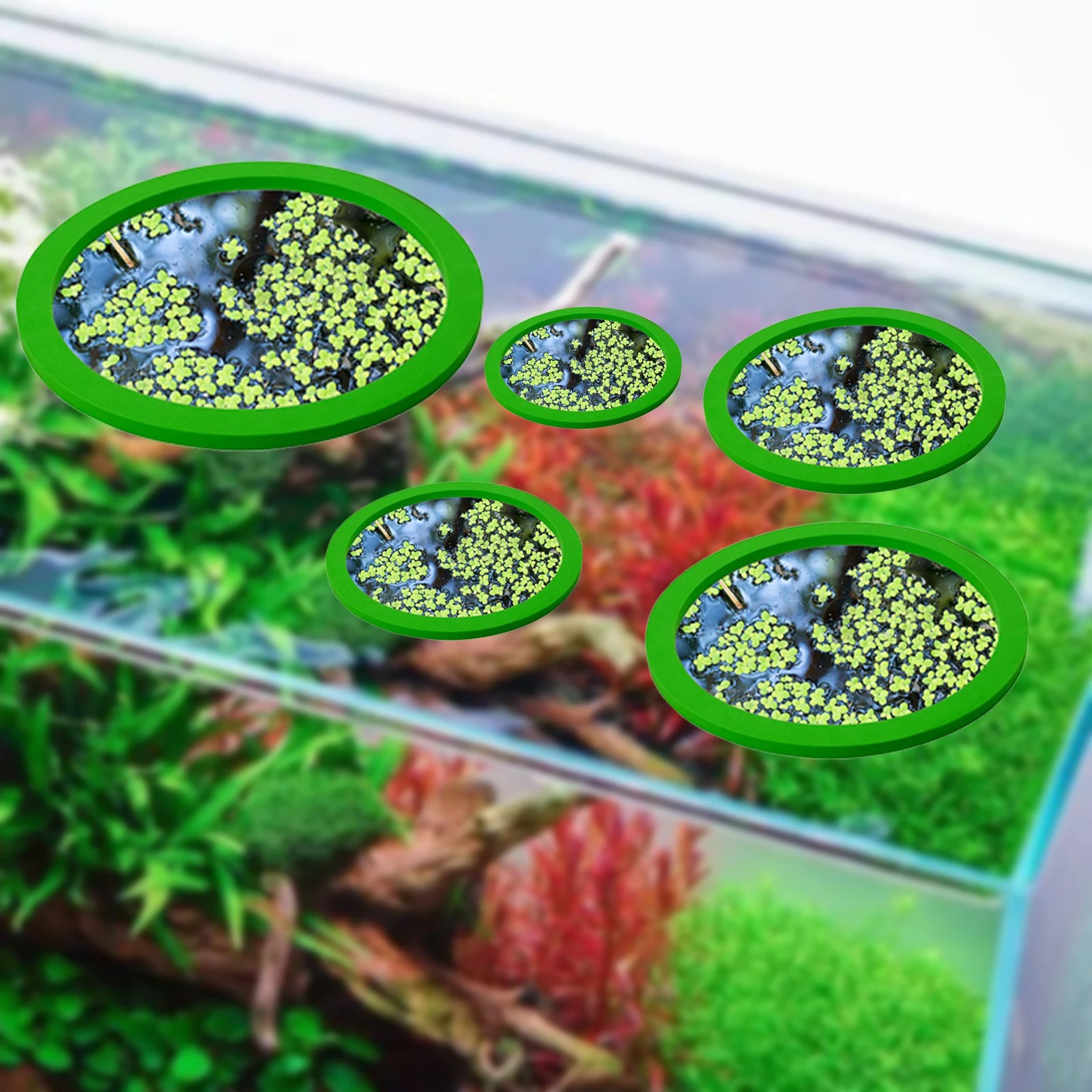 5Pcs EVA Fish Feeding Ring Aqu - Aquarium Fish Bowl recension och pris