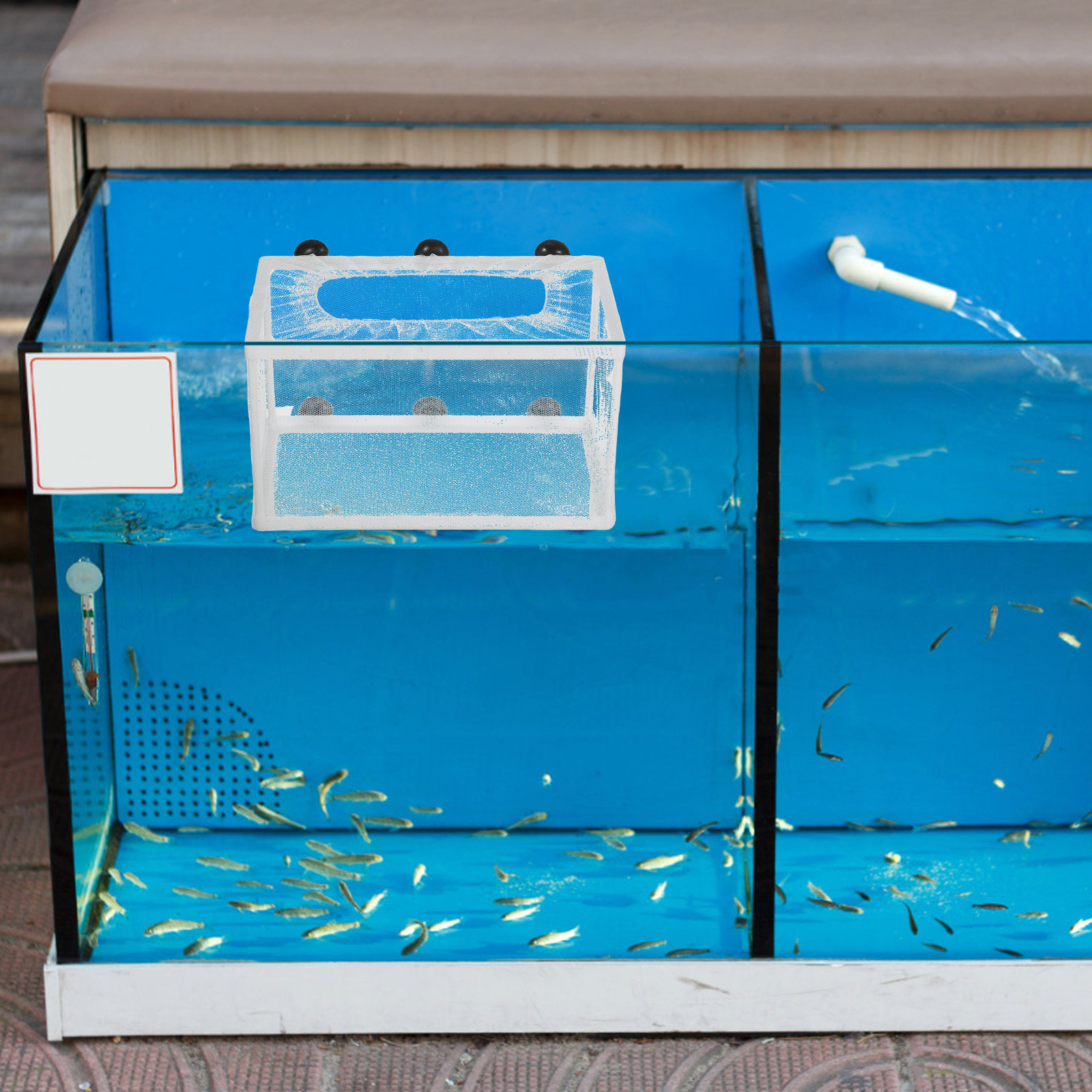 Fish Net Big Size Fry Hatchery - Aquarium Fish Big Size recension och pris