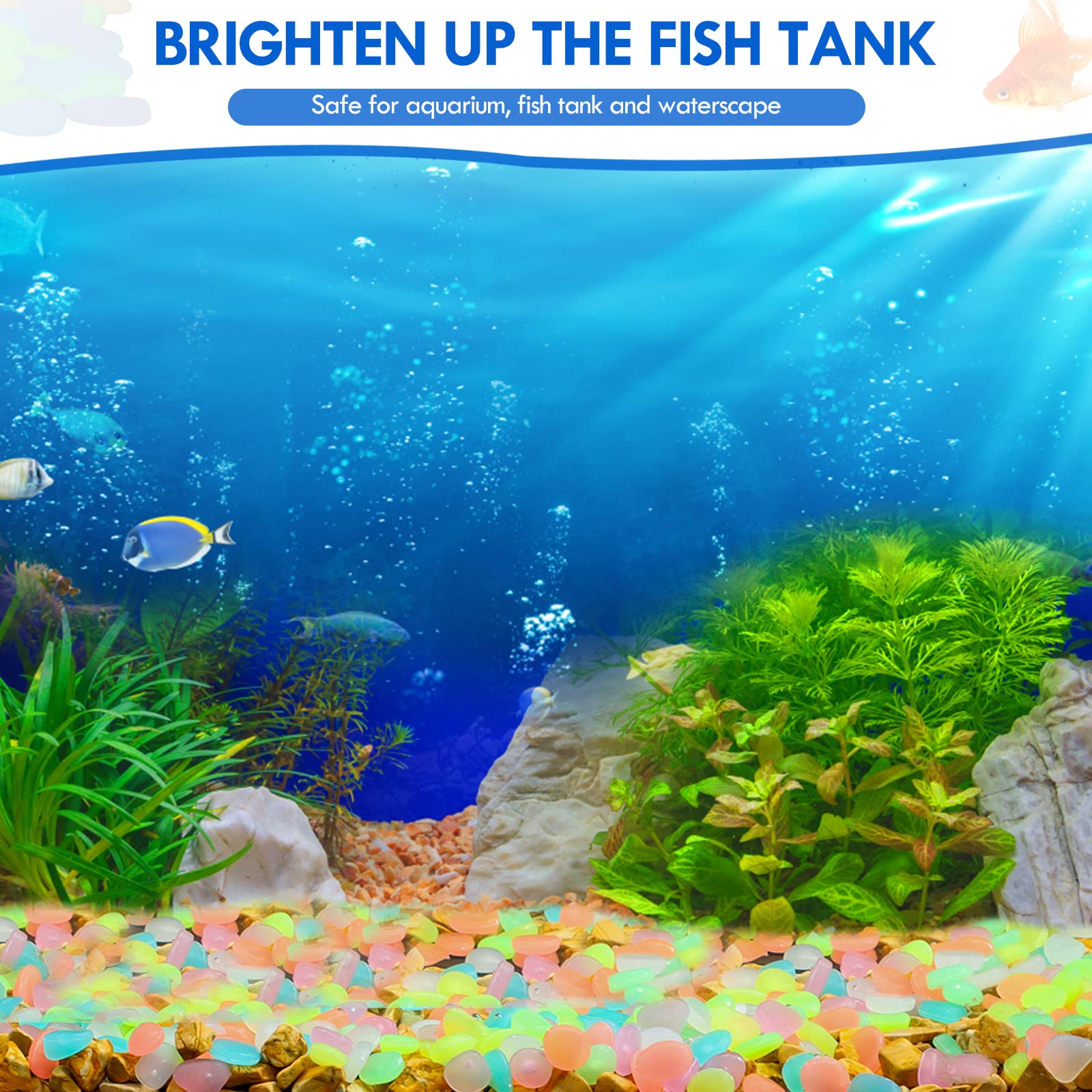 100Pcs Glow in the Dark Garden - Aquarium Fish Bowl recension och pris