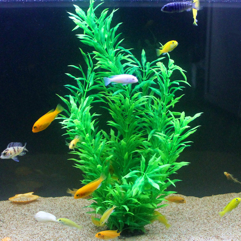50CM Artificial Fish Tank Rare - Aquarium Fish Quarantine recension och pris