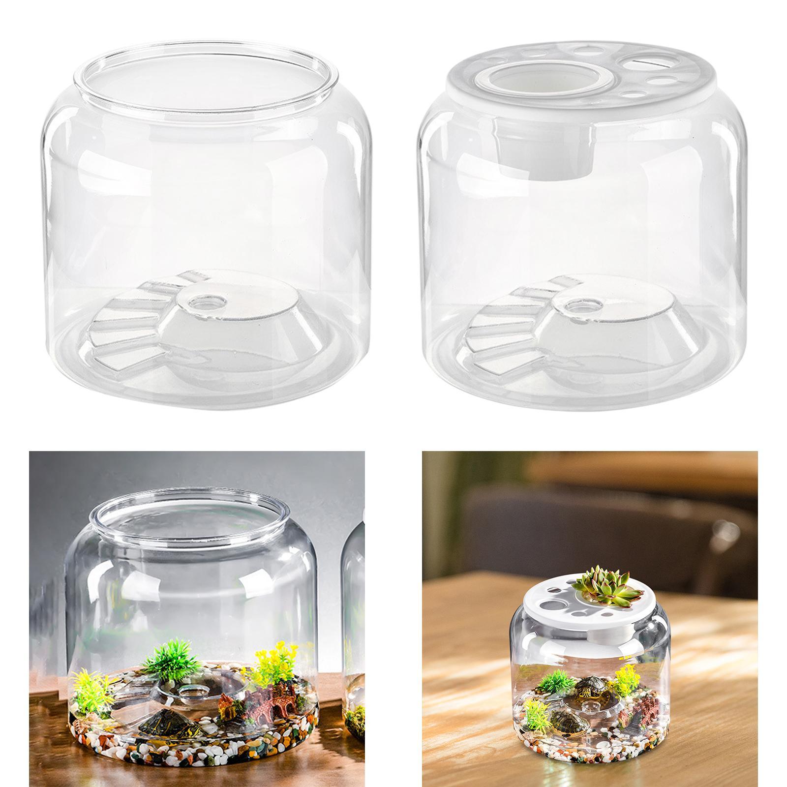 Turtle Tank Tabletop Reptile H - Aquarium Fish Drawing recension och pris