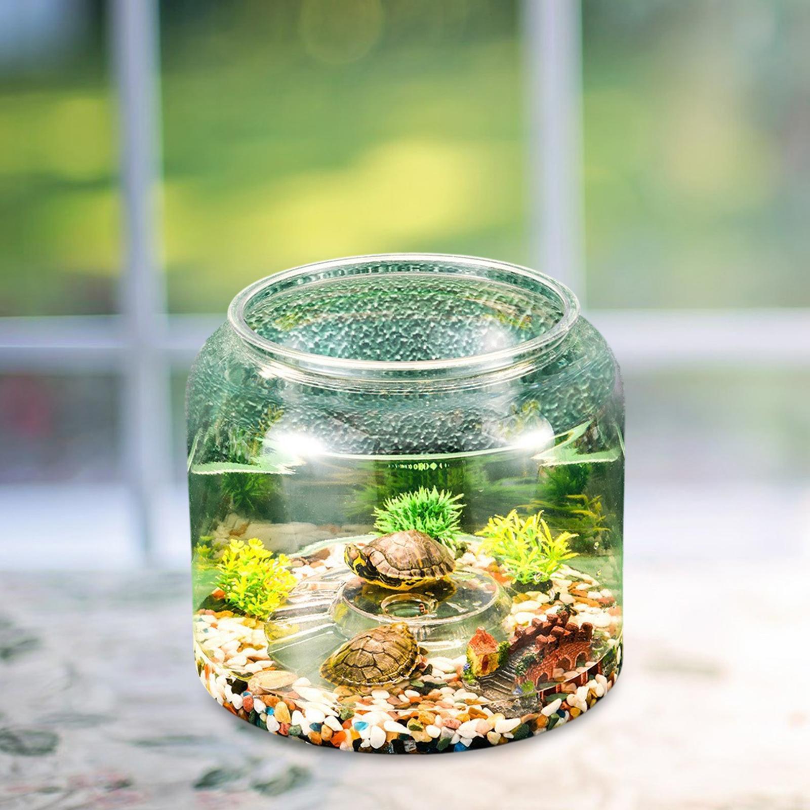 Turtle Tank Tabletop Reptile H - Aquarium Fish Drawing recension och pris