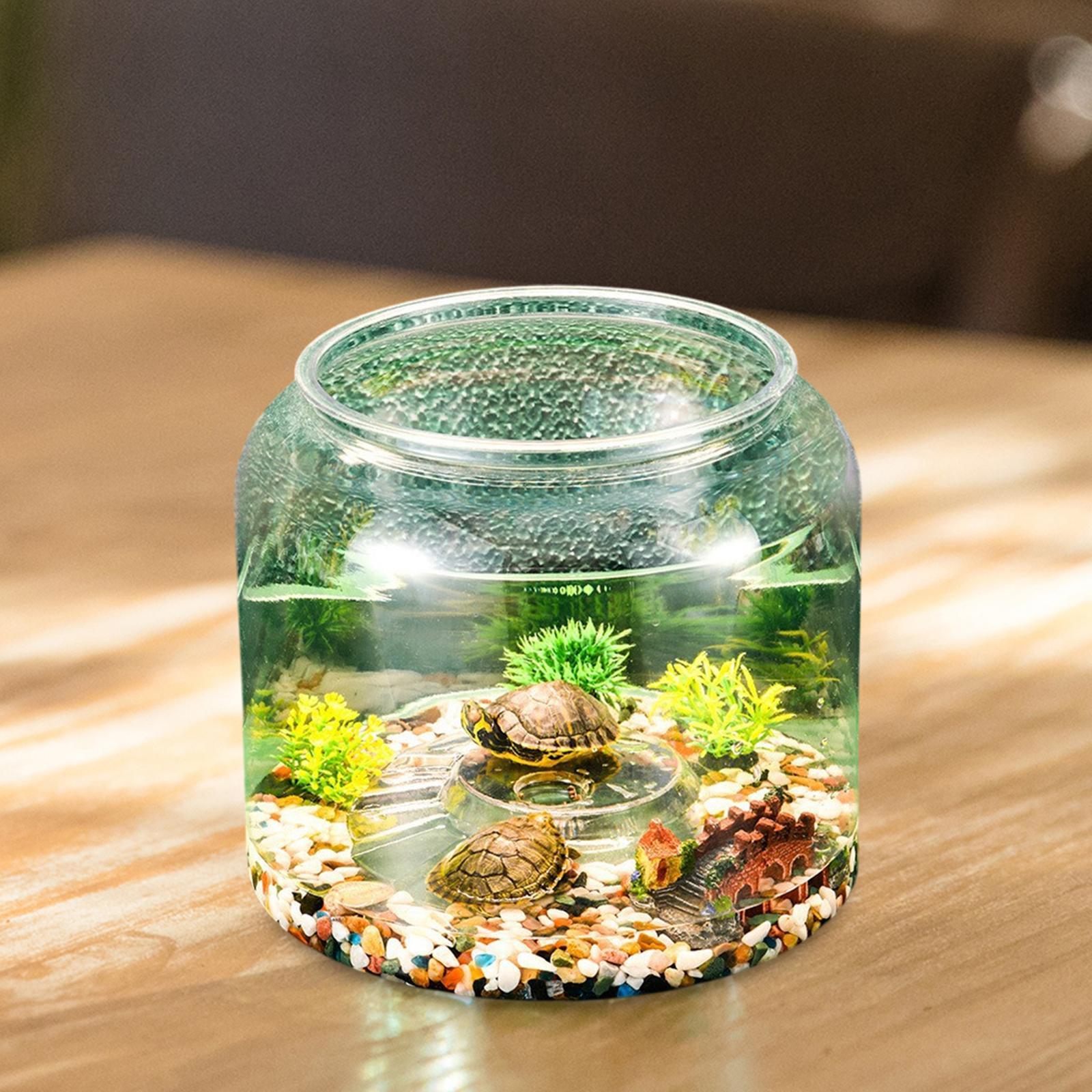 Turtle Tank Tabletop Reptile H - Aquarium Fish Drawing recension och pris