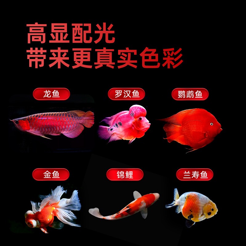 Waterproof Tri‑Color LED Aquar - Aquarium Fish Parrot recension och pris