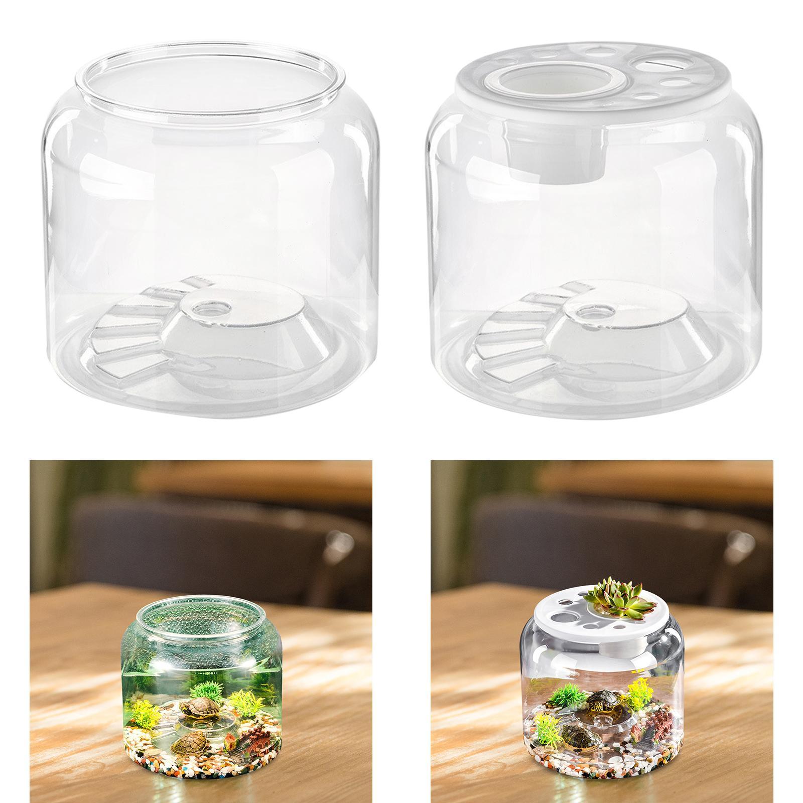 Turtle Container High Capacity - Aquarium Fish Drawing recension och pris