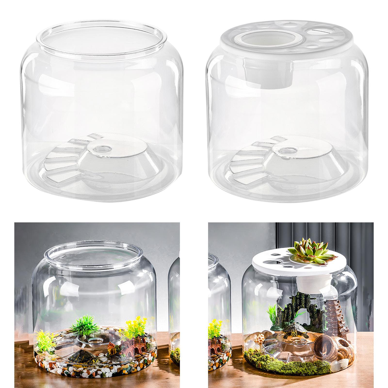 Turtle Container High Capacity - Aquarium Fish Drawing recension och pris
